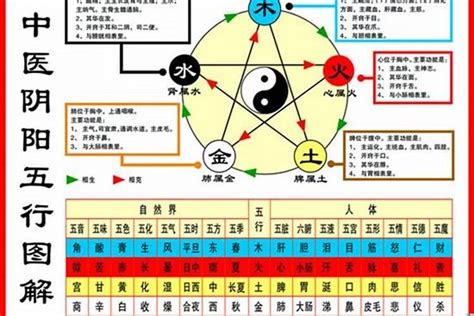 1984五行属什么|84年属鼠什么五行 84年属鼠的五行是属什么